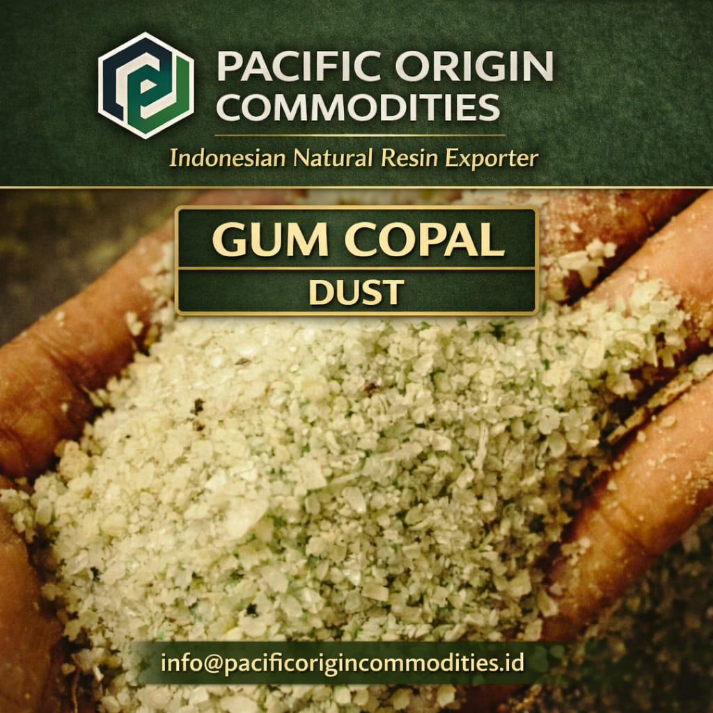 gum-copal-Indonesia
gum-copal-exporter
buy-gum-copal
industrial-gum-copal-supplier
gum-copal-price-indonesia
copal-resin-supplier
