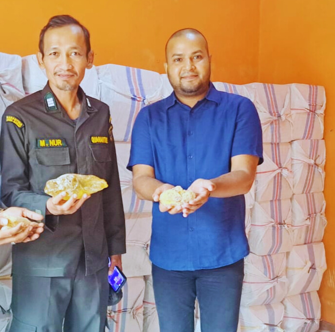 indonesian gum copal supplier