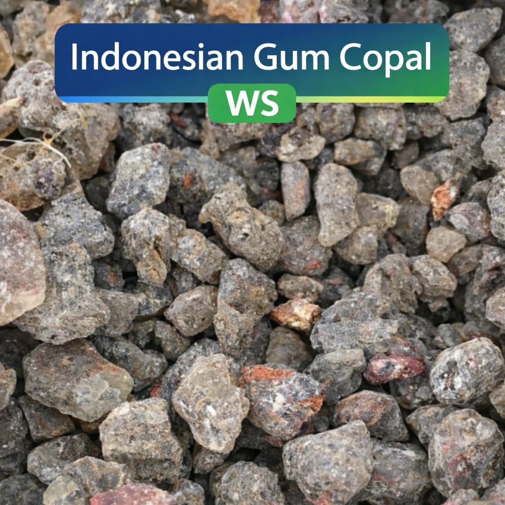gum-copal-Indonesia
gum-copal-exporter
buy-gum-copal
industrial-gum-copal-supplier
gum-copal-price-indonesia
copal-resin-supplier
