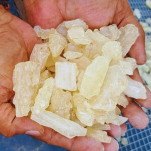Indonesian Resin Supplier Indonesian Gum Copal Supplier Indonesian Gum Damar Supplier