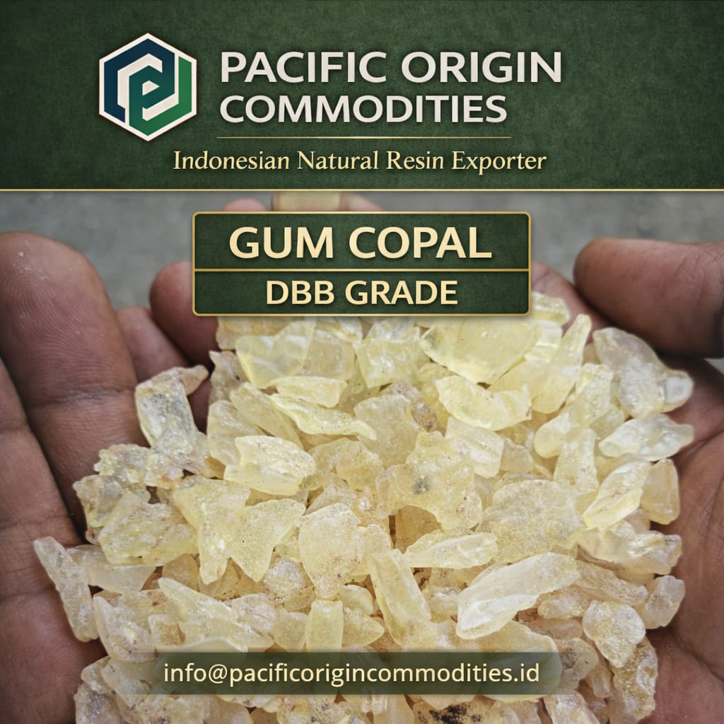 gum-copal-Indonesia
gum-copal-exporter
buy-gum-copal
industrial-gum-copal-supplier
gum-copal-price-indonesia
copal-resin-supplier
