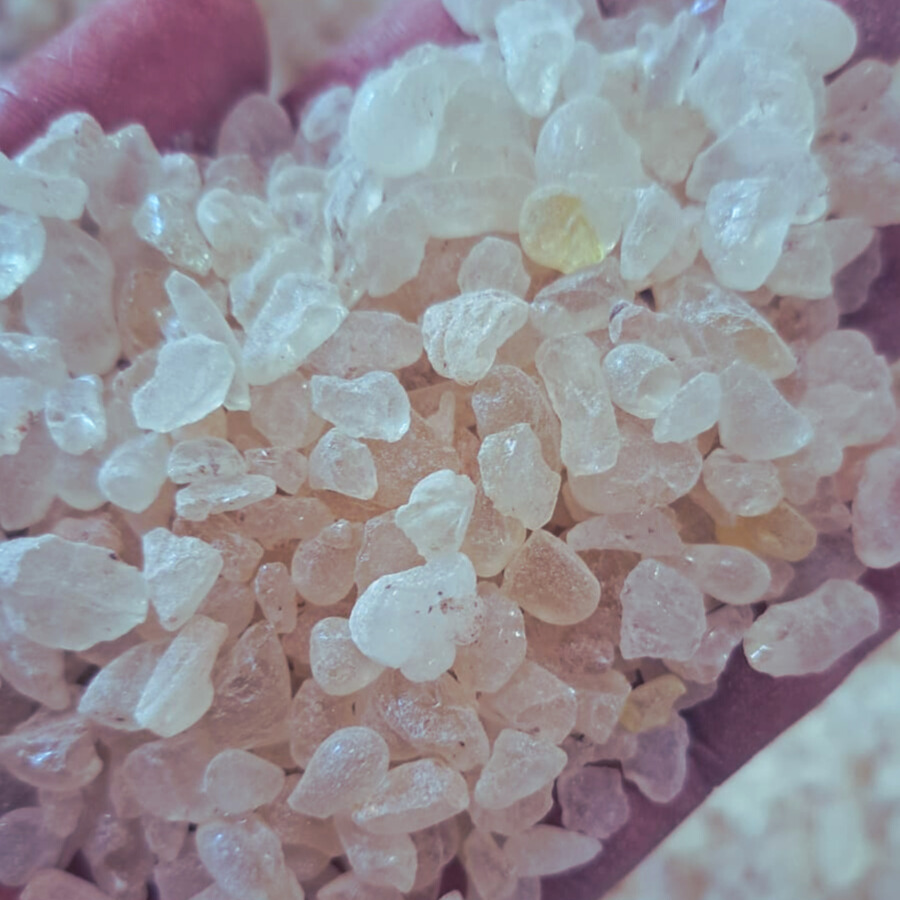 Indonesian Gum Damar Cdx