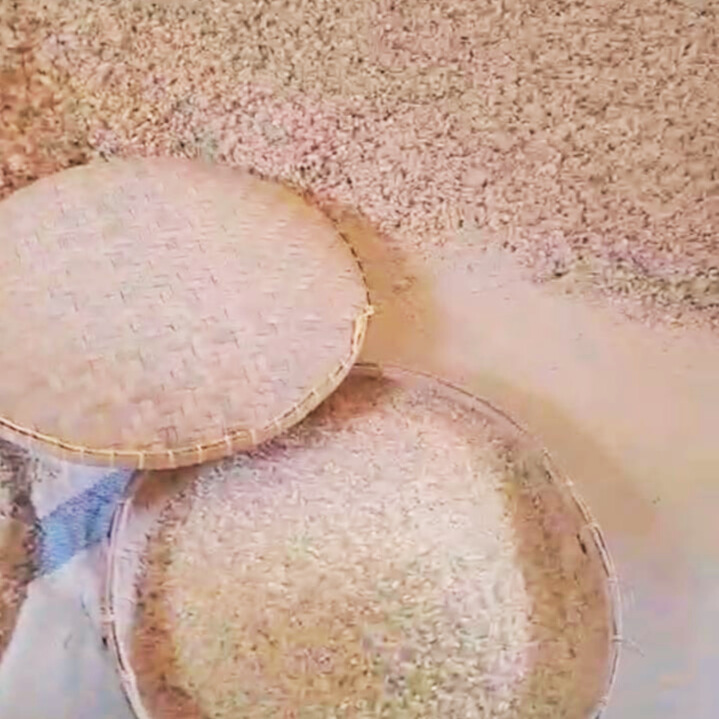 Indonesian Gum Copal Supplier
Indonesian Gum Copal Exporter
Gum Copal Supplier Indonesia
Natural Resin Exporter Indonesia
