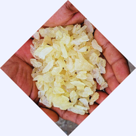 gum damar supplier indonesia