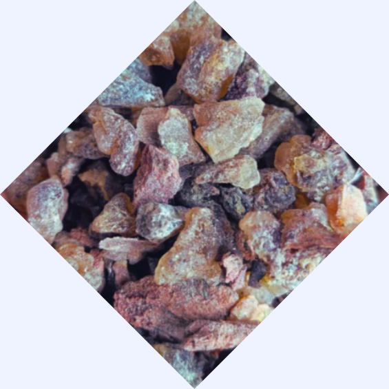 indonesian gum copal supplier company